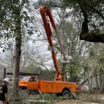 Tree Service Company