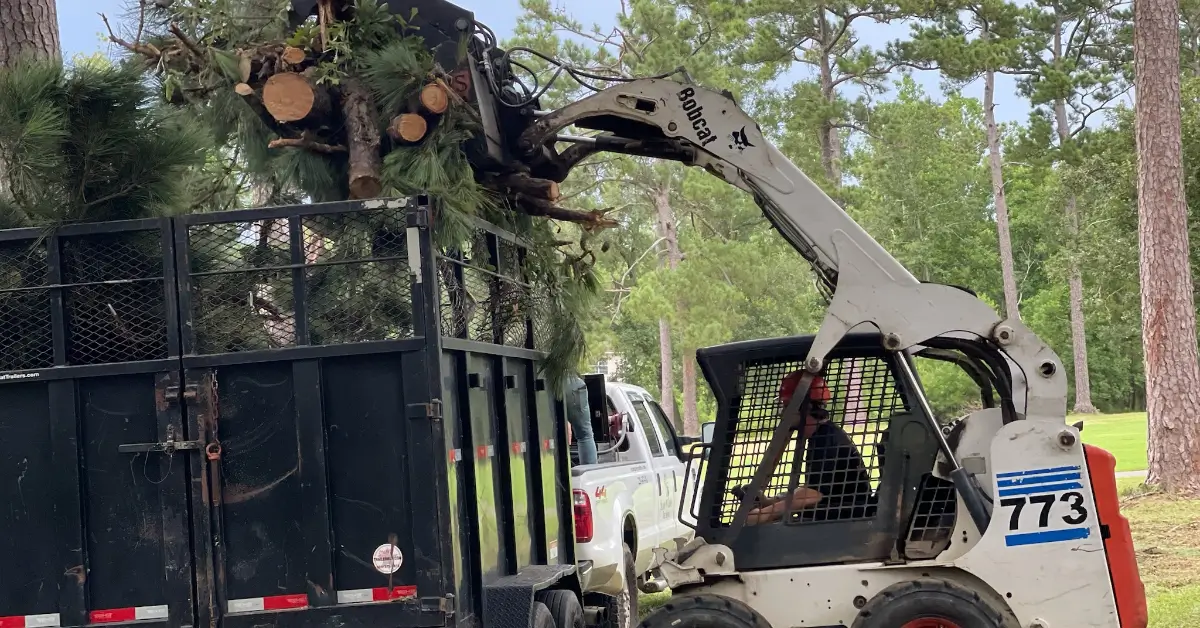 Affordable Tree Service