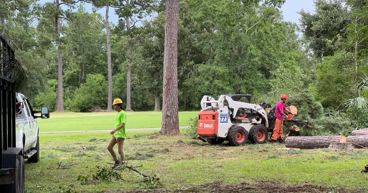 Land Clearing